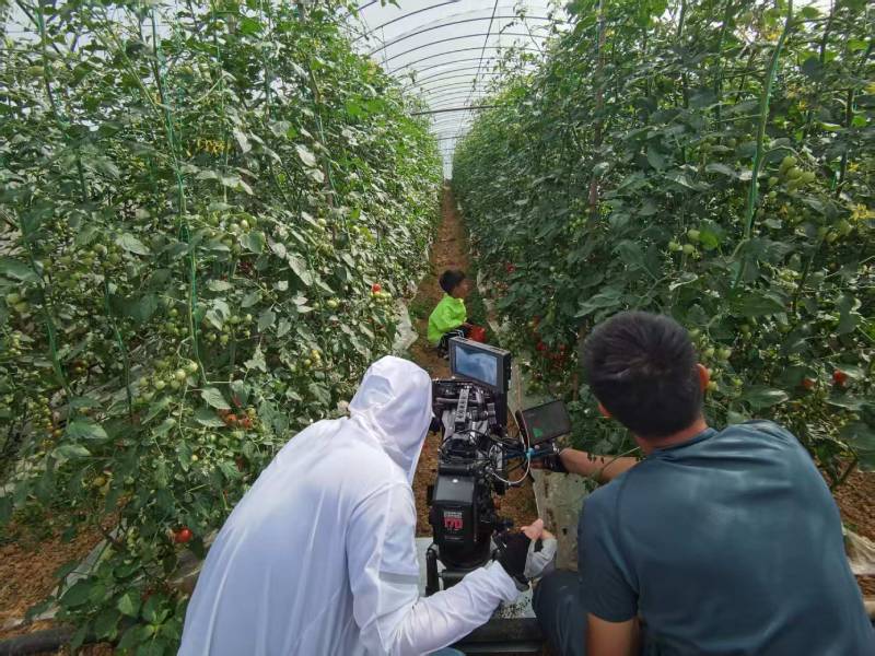 岱岳区产品宣传视频拍摄公司进阶指南，助力品牌抢占传播高地